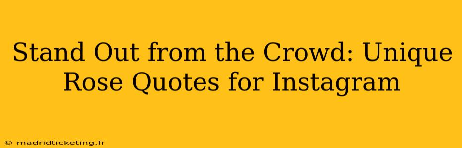 Stand Out from the Crowd: Unique Rose Quotes for Instagram
