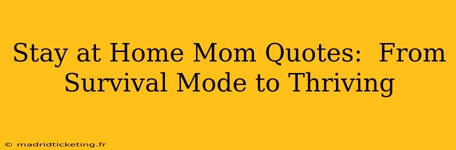 Stay at Home Mom Quotes:  From Survival Mode to Thriving