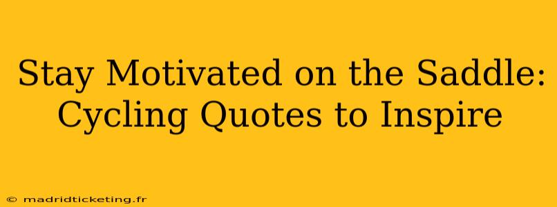 Stay Motivated on the Saddle: Cycling Quotes to Inspire