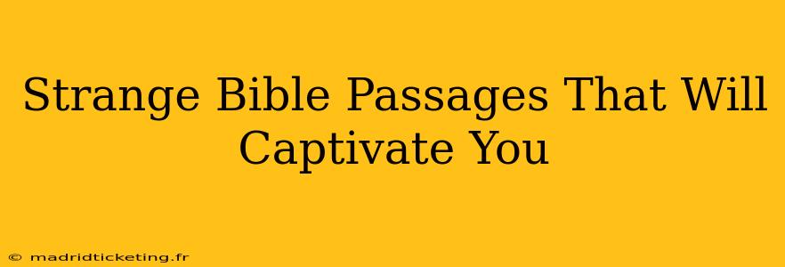 Strange Bible Passages That Will Captivate You