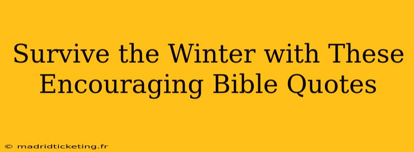 Survive the Winter with These Encouraging Bible Quotes