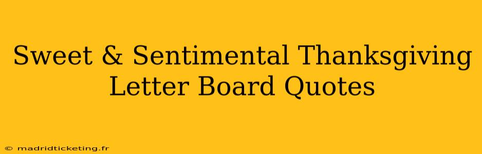 Sweet & Sentimental Thanksgiving Letter Board Quotes