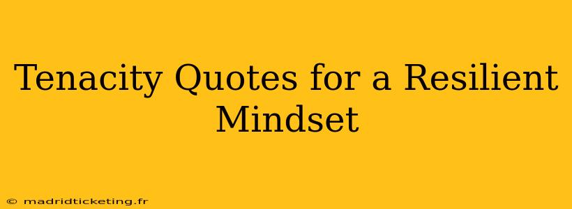 Tenacity Quotes for a Resilient Mindset