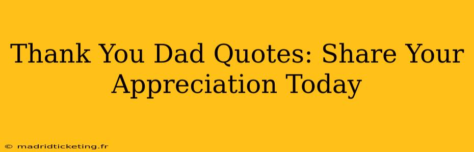 Thank You Dad Quotes: Share Your Appreciation Today