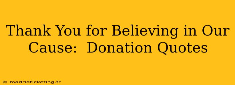 Thank You for Believing in Our Cause:  Donation Quotes