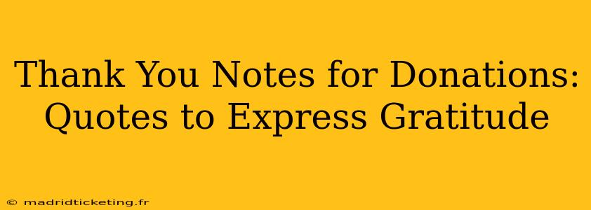 Thank You Notes for Donations:  Quotes to Express Gratitude