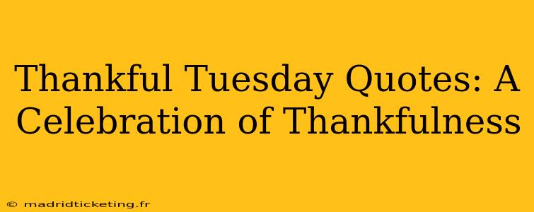 Thankful Tuesday Quotes: A Celebration of Thankfulness