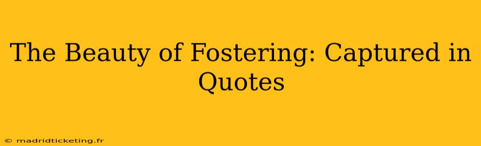 The Beauty of Fostering: Captured in Quotes
