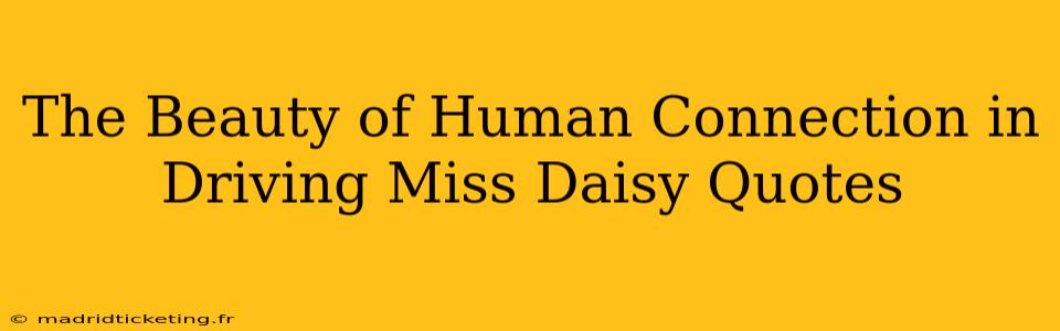 The Beauty of Human Connection in Driving Miss Daisy Quotes