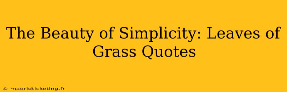 The Beauty of Simplicity: Leaves of Grass Quotes