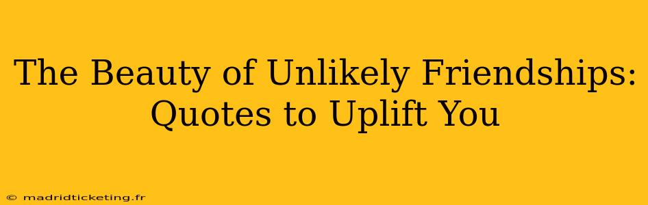 The Beauty of Unlikely Friendships: Quotes to Uplift You
