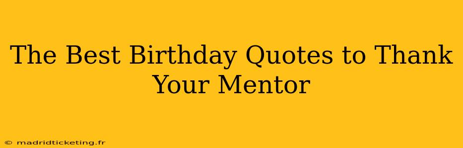 The Best Birthday Quotes to Thank Your Mentor