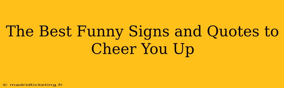 The Best Funny Signs and Quotes to Cheer You Up