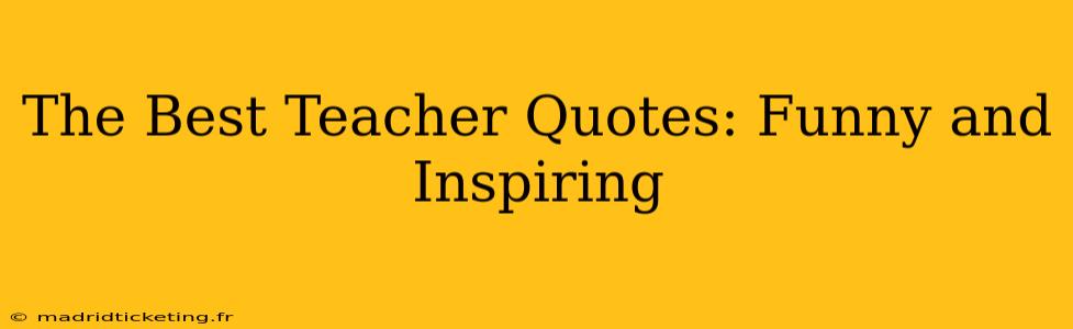 The Best Teacher Quotes: Funny and Inspiring