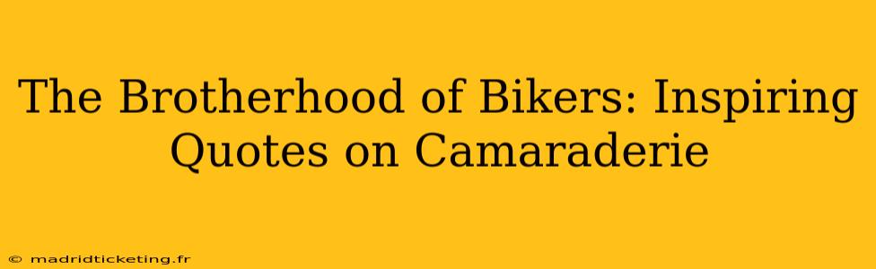 The Brotherhood of Bikers: Inspiring Quotes on Camaraderie