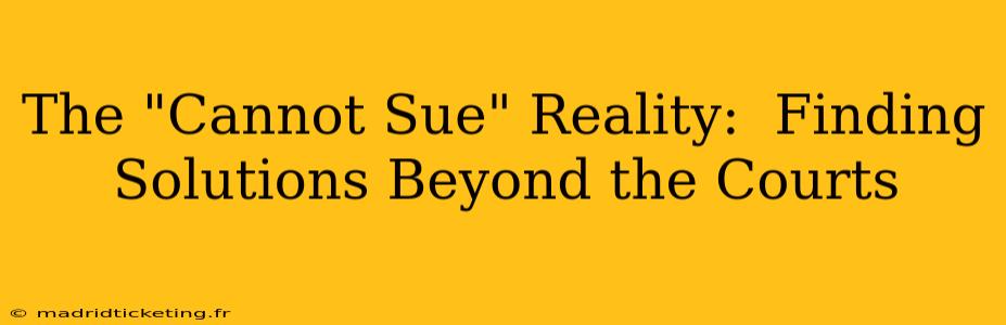 The "Cannot Sue" Reality:  Finding Solutions Beyond the Courts