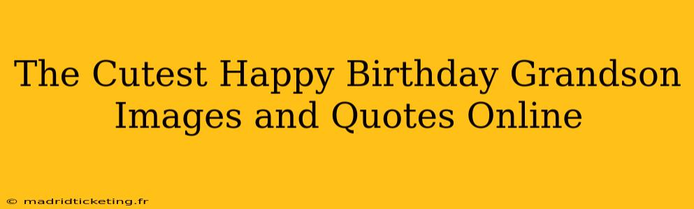 The Cutest Happy Birthday Grandson Images and Quotes Online