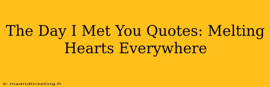 The Day I Met You Quotes: Melting Hearts Everywhere