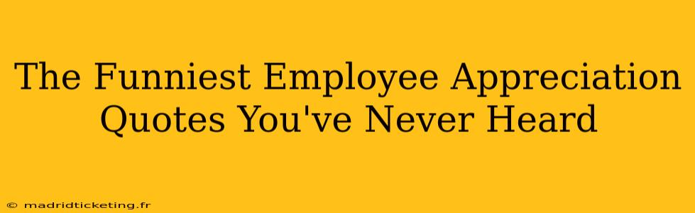 The Funniest Employee Appreciation Quotes You've Never Heard