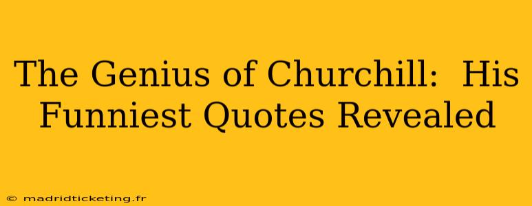 The Genius of Churchill:  His Funniest Quotes Revealed