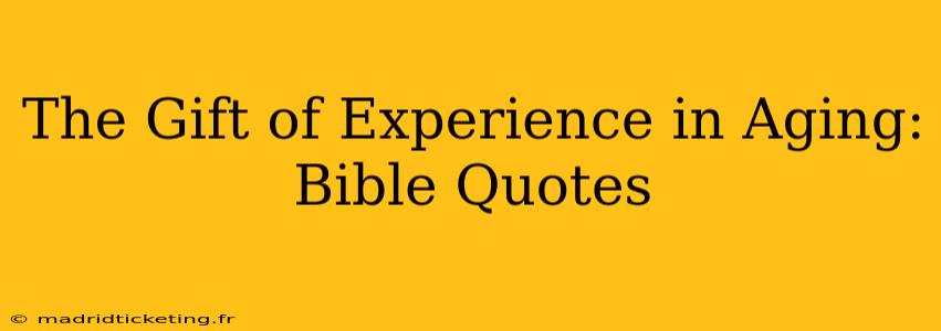 The Gift of Experience in Aging: Bible Quotes