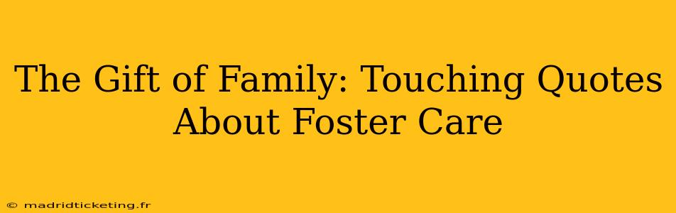The Gift of Family: Touching Quotes About Foster Care