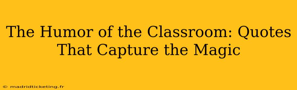 The Humor of the Classroom: Quotes That Capture the Magic
