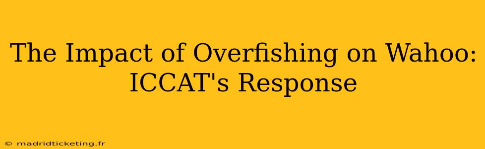The Impact of Overfishing on Wahoo: ICCAT's Response