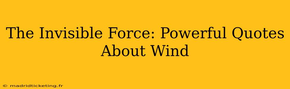 The Invisible Force: Powerful Quotes About Wind