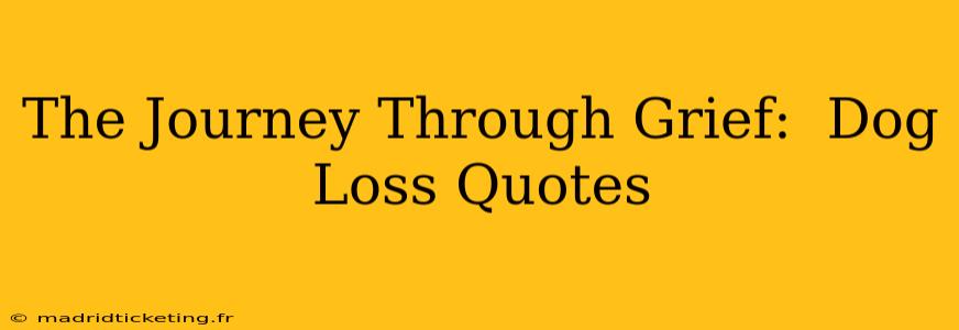 The Journey Through Grief:  Dog Loss Quotes