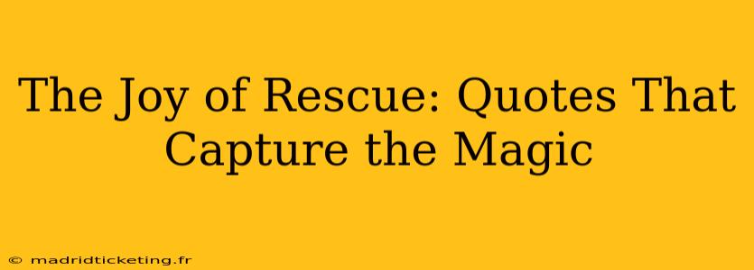 The Joy of Rescue: Quotes That Capture the Magic