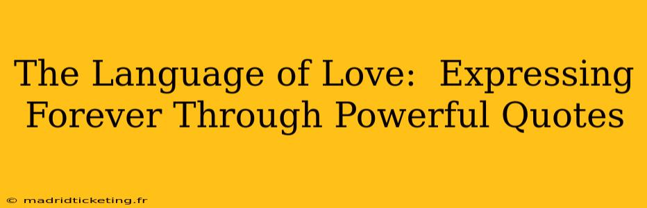The Language of Love:  Expressing Forever Through Powerful Quotes
