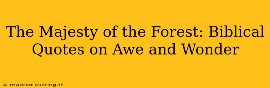 The Majesty of the Forest: Biblical Quotes on Awe and Wonder