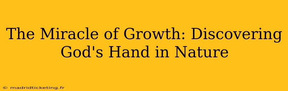 The Miracle of Growth: Discovering God's Hand in Nature