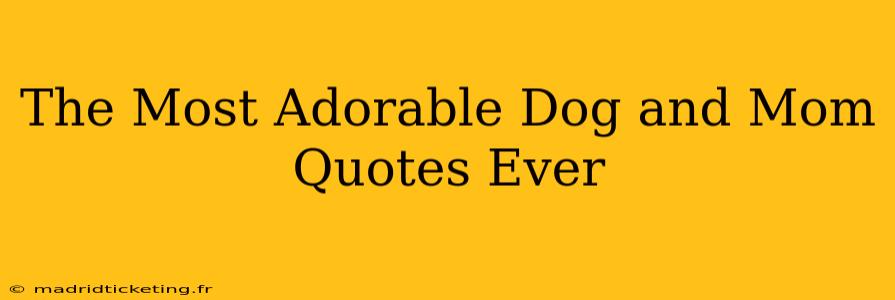 The Most Adorable Dog and Mom Quotes Ever