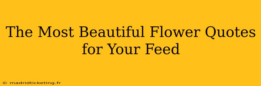 The Most Beautiful Flower Quotes for Your Feed