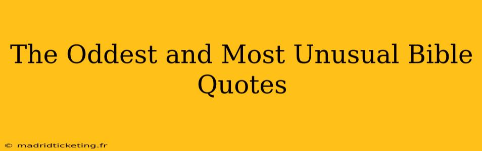 The Oddest and Most Unusual Bible Quotes