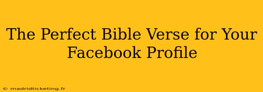 The Perfect Bible Verse for Your Facebook Profile