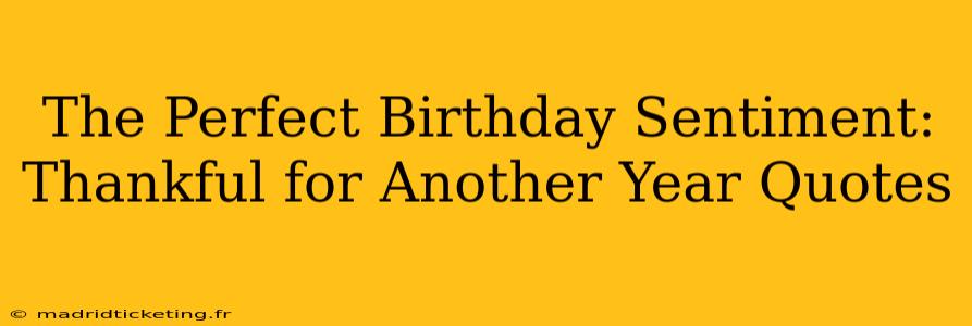 The Perfect Birthday Sentiment: Thankful for Another Year Quotes