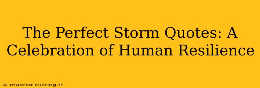 The Perfect Storm Quotes: A Celebration of Human Resilience