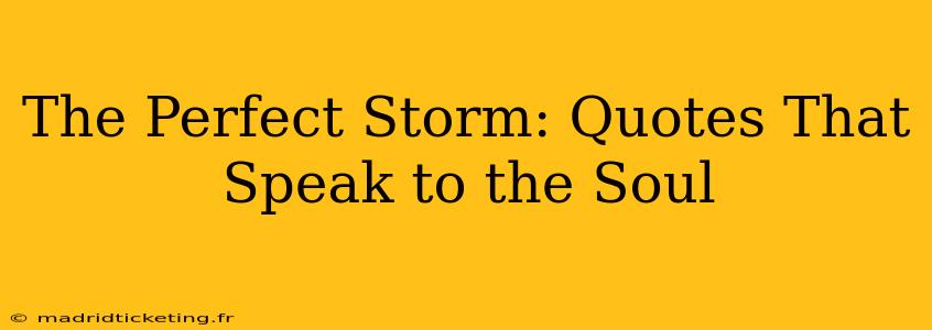 The Perfect Storm: Quotes That Speak to the Soul