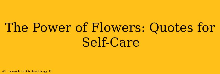 The Power of Flowers: Quotes for Self-Care