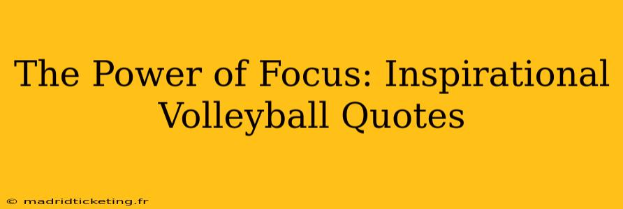 The Power of Focus: Inspirational Volleyball Quotes