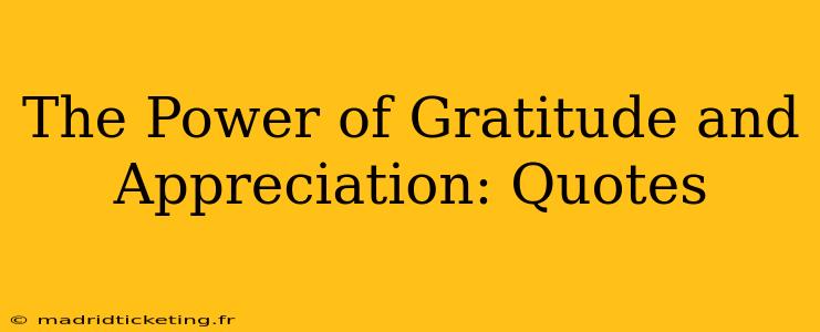 The Power of Gratitude and Appreciation: Quotes