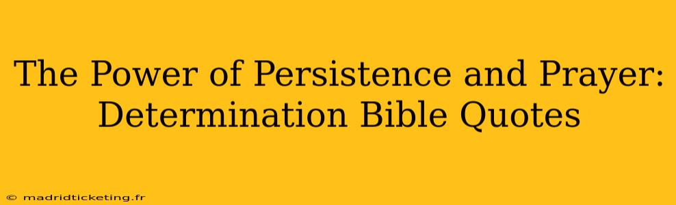 The Power of Persistence and Prayer: Determination Bible Quotes