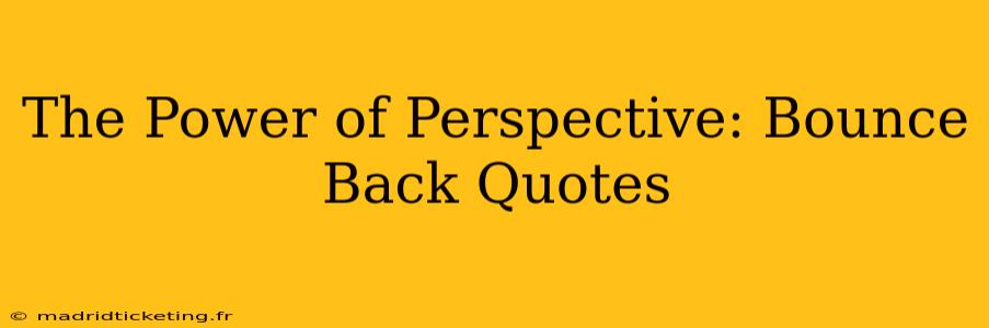 The Power of Perspective: Bounce Back Quotes