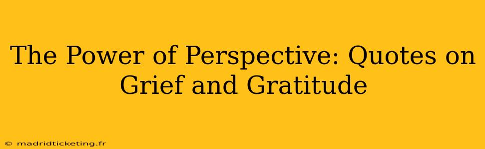 The Power of Perspective: Quotes on Grief and Gratitude