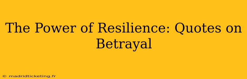 The Power of Resilience: Quotes on Betrayal