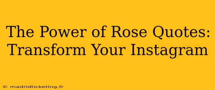 The Power of Rose Quotes: Transform Your Instagram
