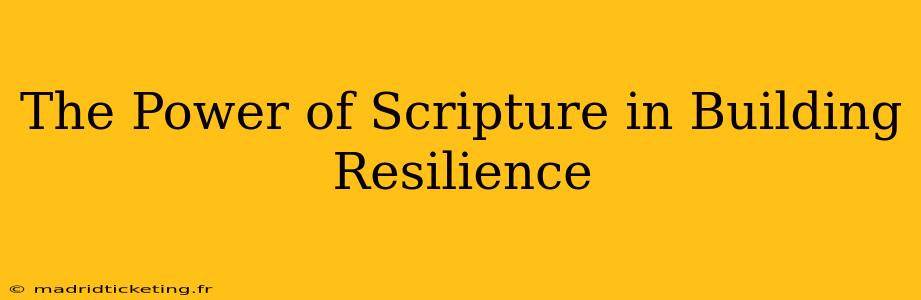 The Power of Scripture in Building Resilience
